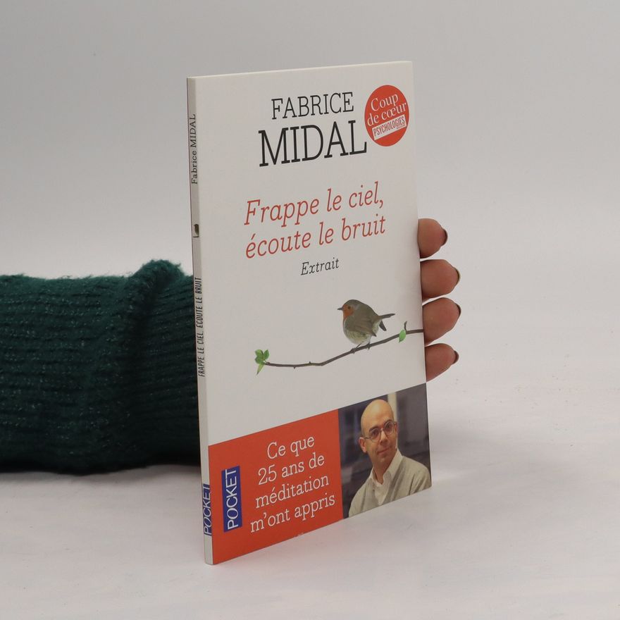 Fabrice Midal Frappe le ciel, écoute le bruit