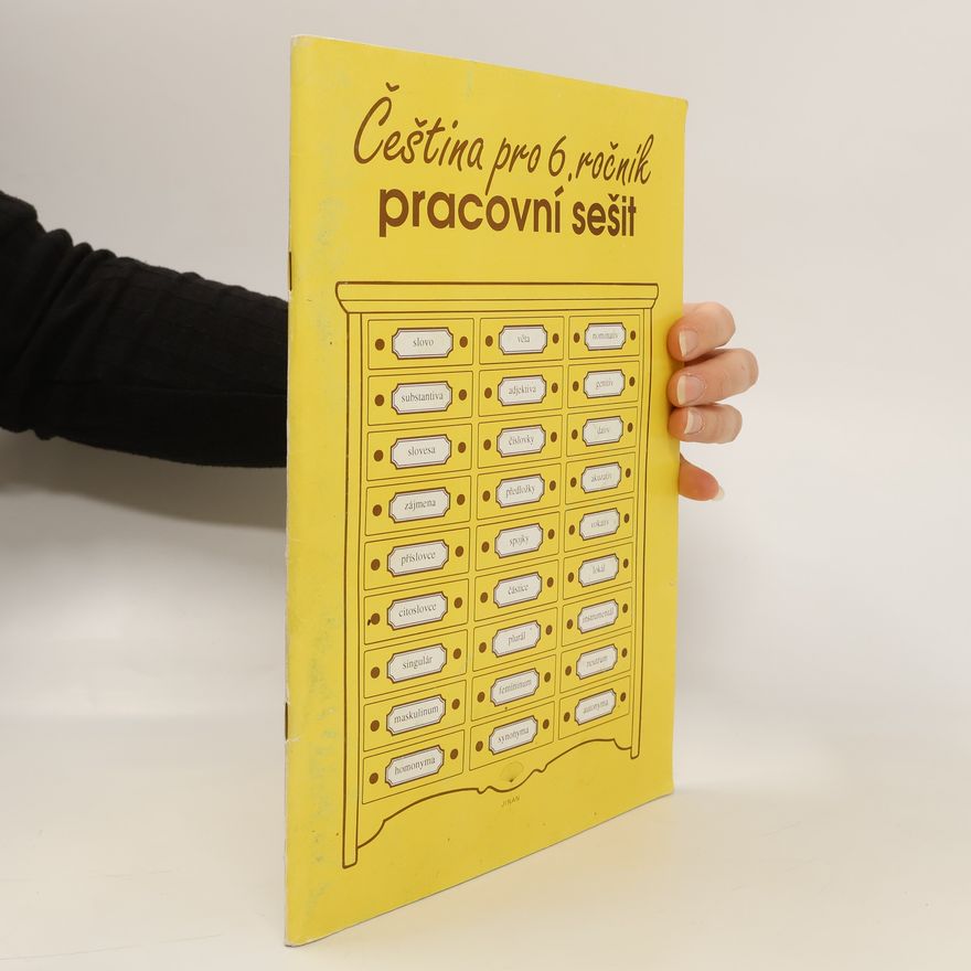 Collectif d'auteurs Čeština pro 6. ročník