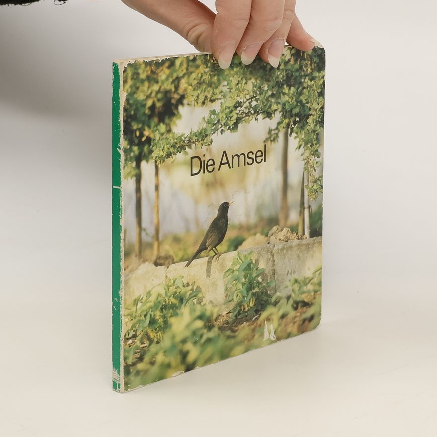 Autorenkollektiv Die Amsel