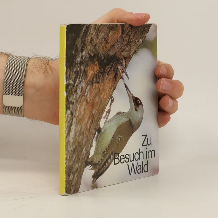 Collectif d'auteurs Das Herz im Wald