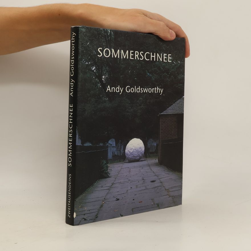 Andy Goldsworthy Sommerschnee