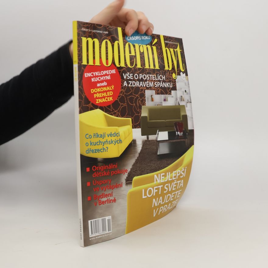 Kolektiv autorů Moderní byt 11/2009