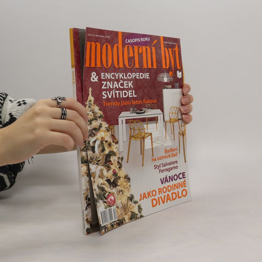 Kolektiv autorů Moderní byt 12/2009
