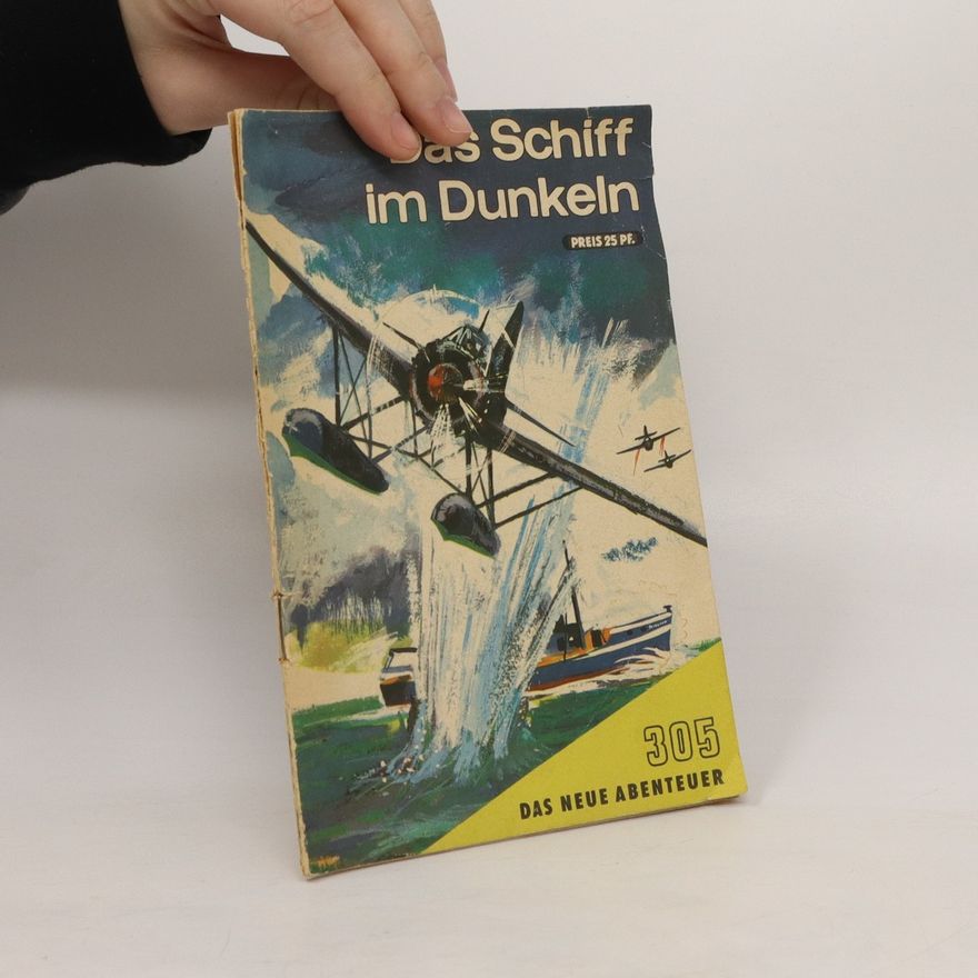 Kolektiv autorů Das Schiff im Dunkeln