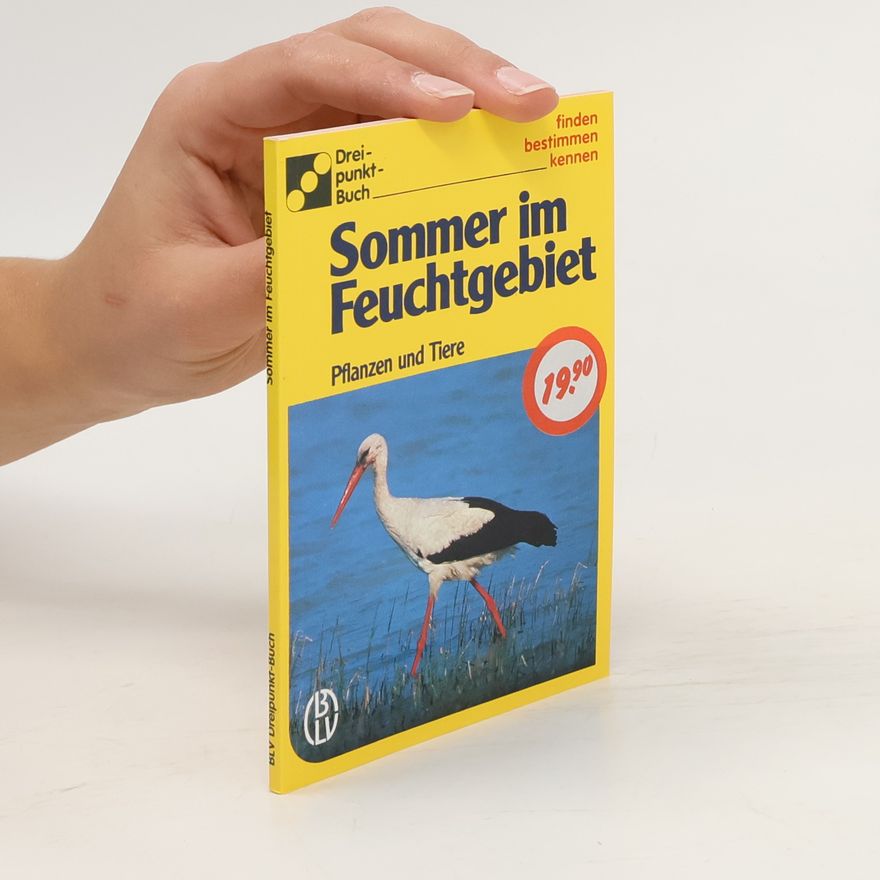Ute E. Zimmer Sommer im Feuchtgebiet
