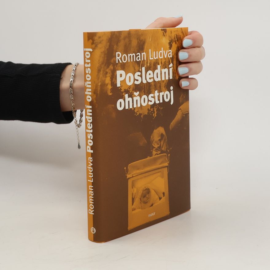 Roman Ludva Poslední ohňostroj