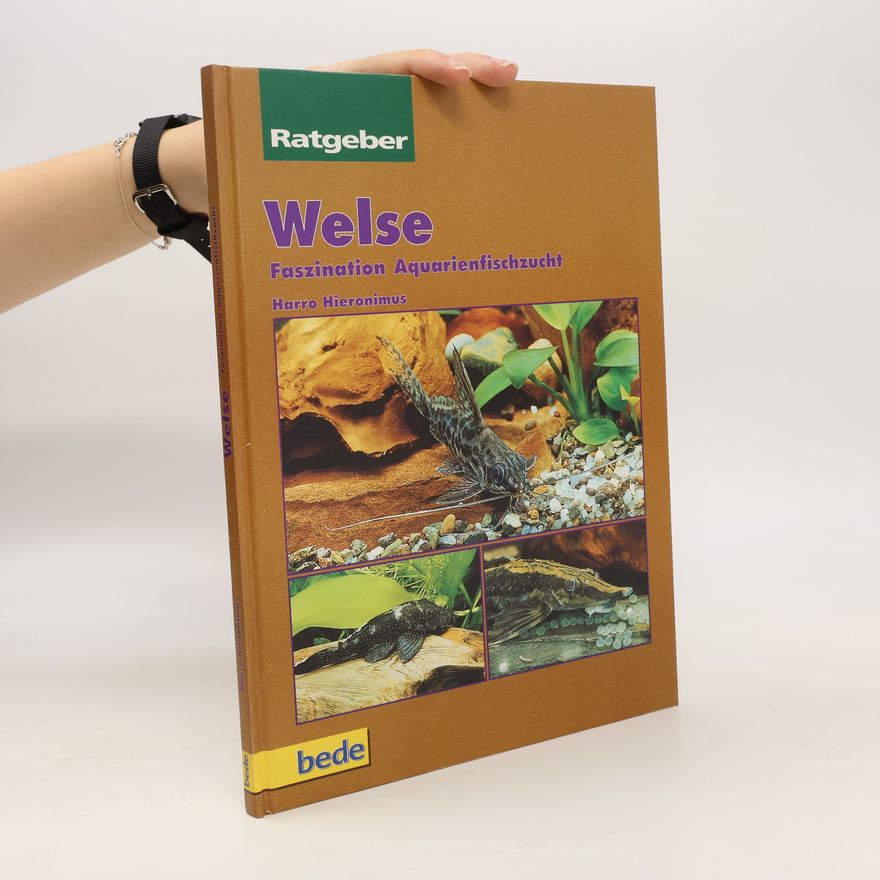 Harro Hieronimus Welse