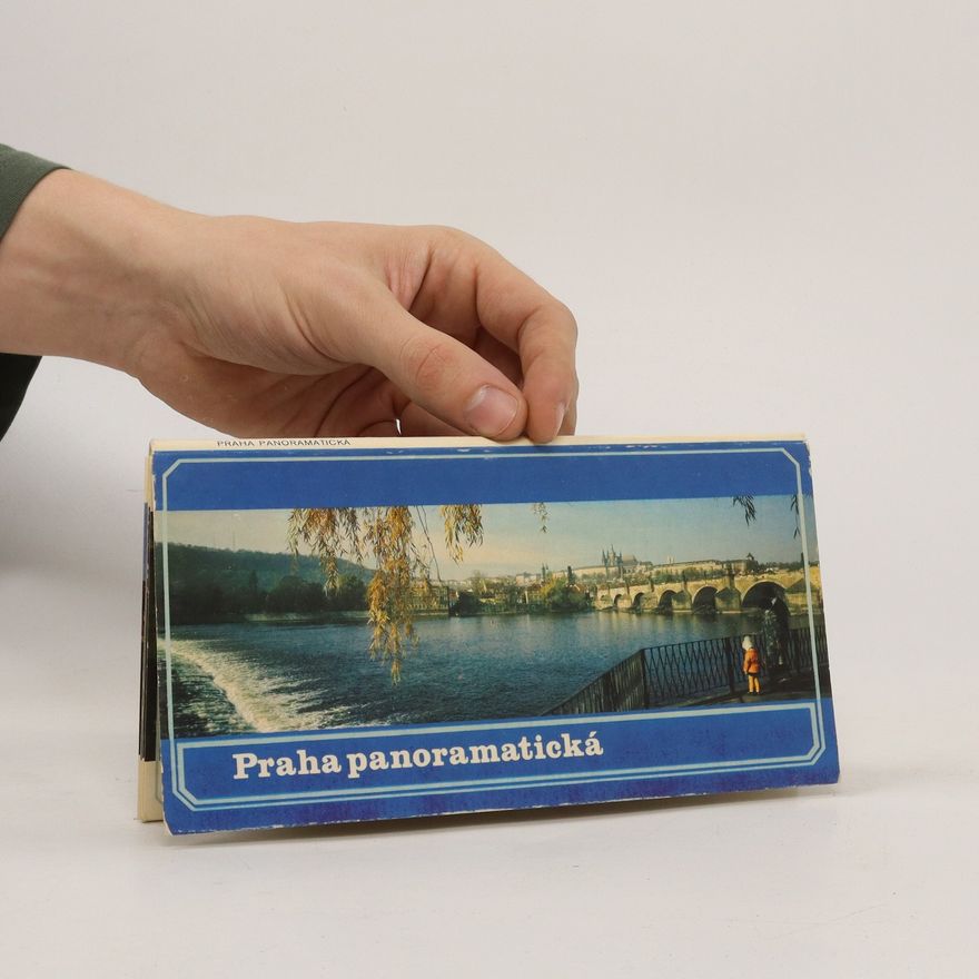 Kolektív autorov Praha panoramatická