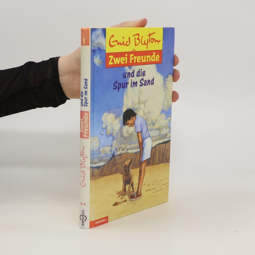 Enid Blyton Zwei Freunde und die Spur im Sand