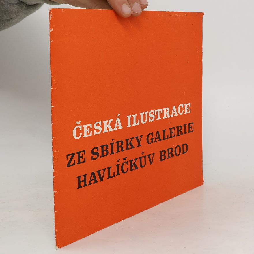 Kolektiv autorů Česká ilustrace