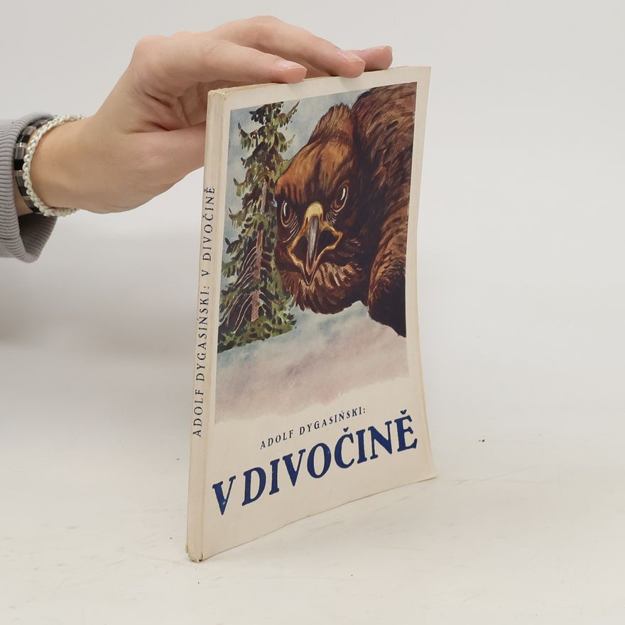 Dygasiňski Adolf V divočině