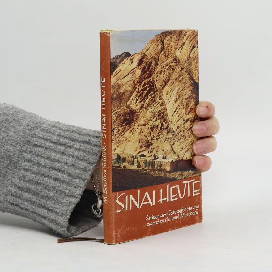 Basilea Schlink Sinai heute