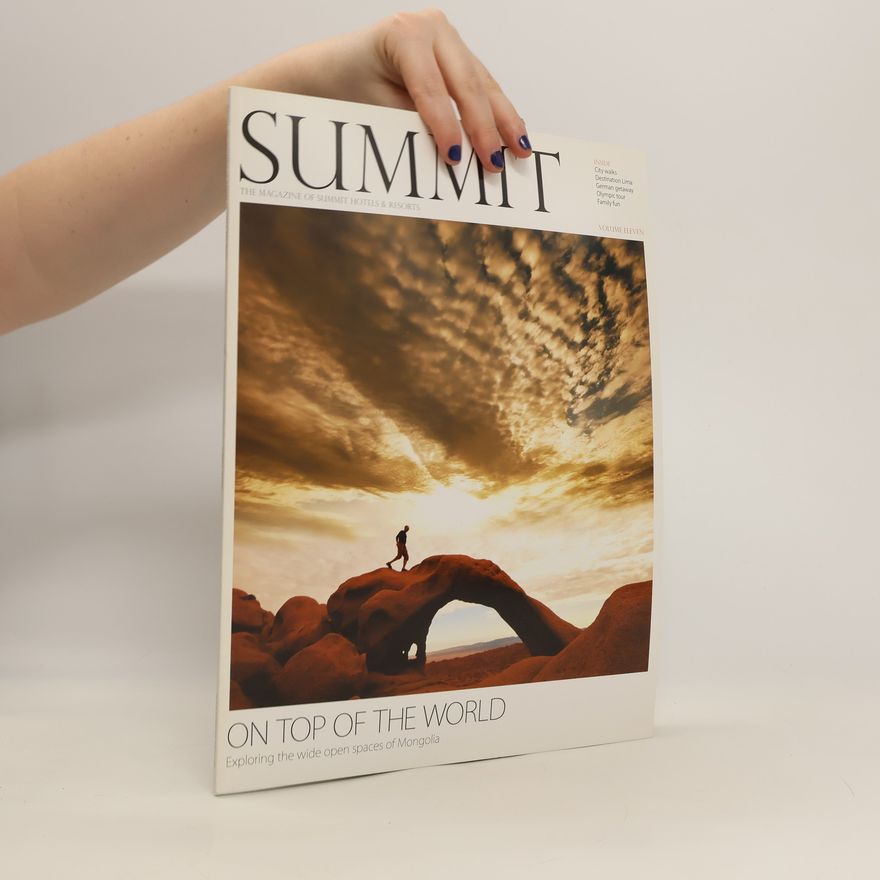 Kolektiv autorů Summit vol. 11