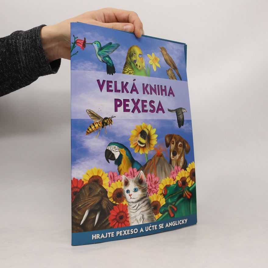 Miroslav Kulich Velká kniha pexesa: Hrajte a učte se anglicky