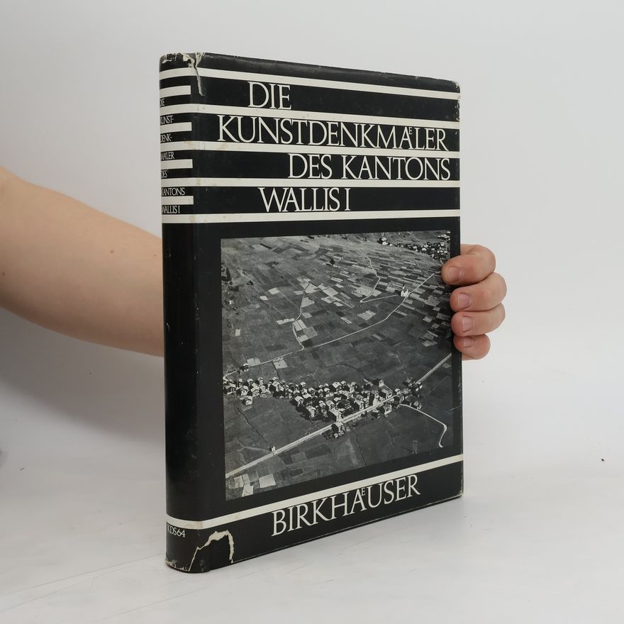 Patrick Elsig Die Kunstdenkmäler des Kantons Wallis