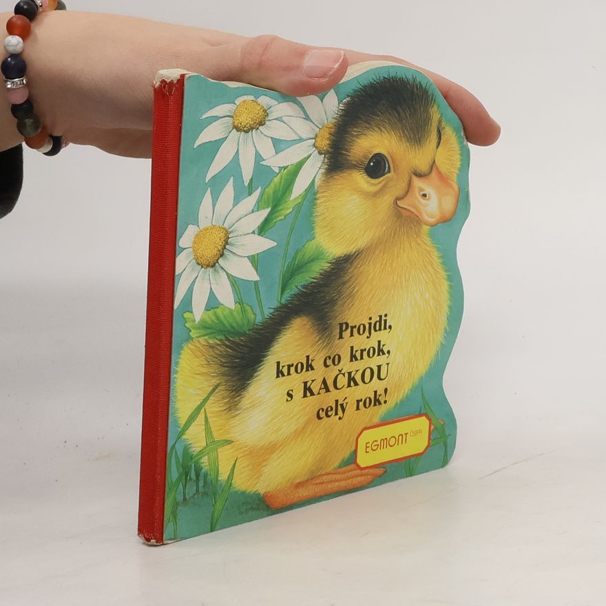 Kolektív autorov Projdi, krok co krok, s kačkou celý rok!