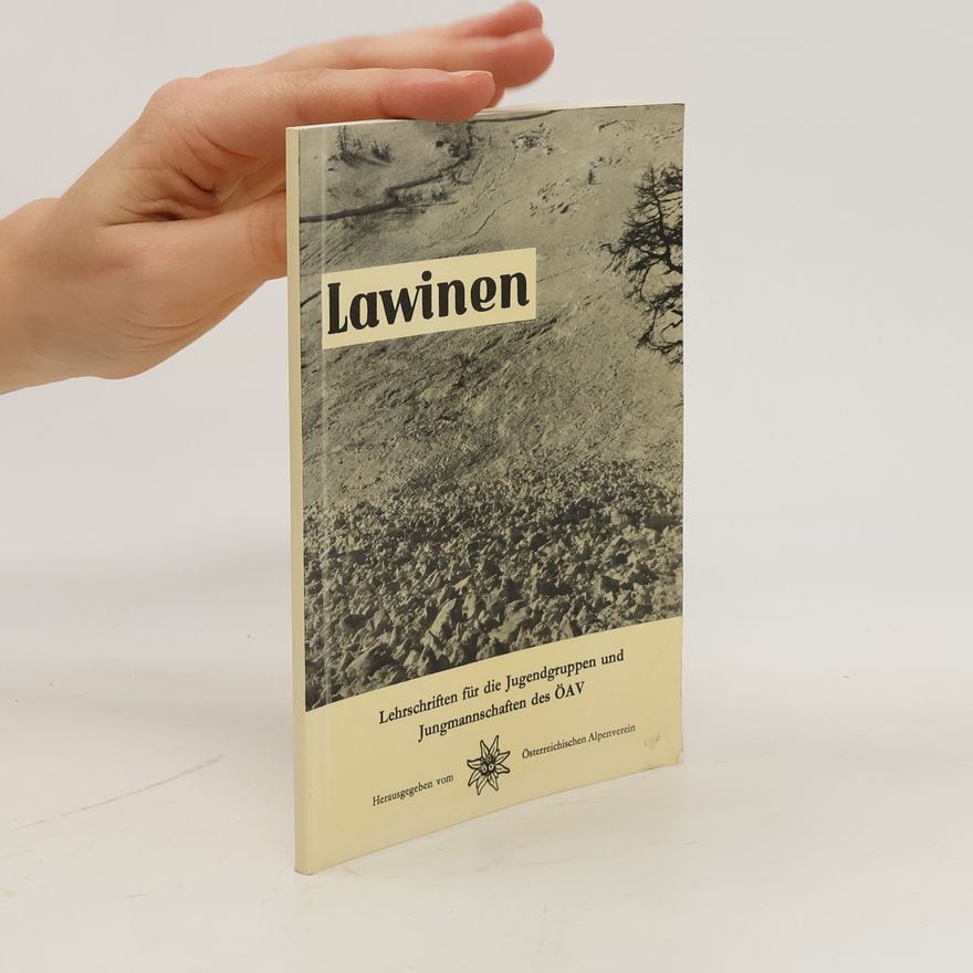Kolektiv autorů Lawinen