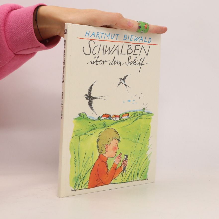 Hartmut Biewald Schwalben über dem Schilf