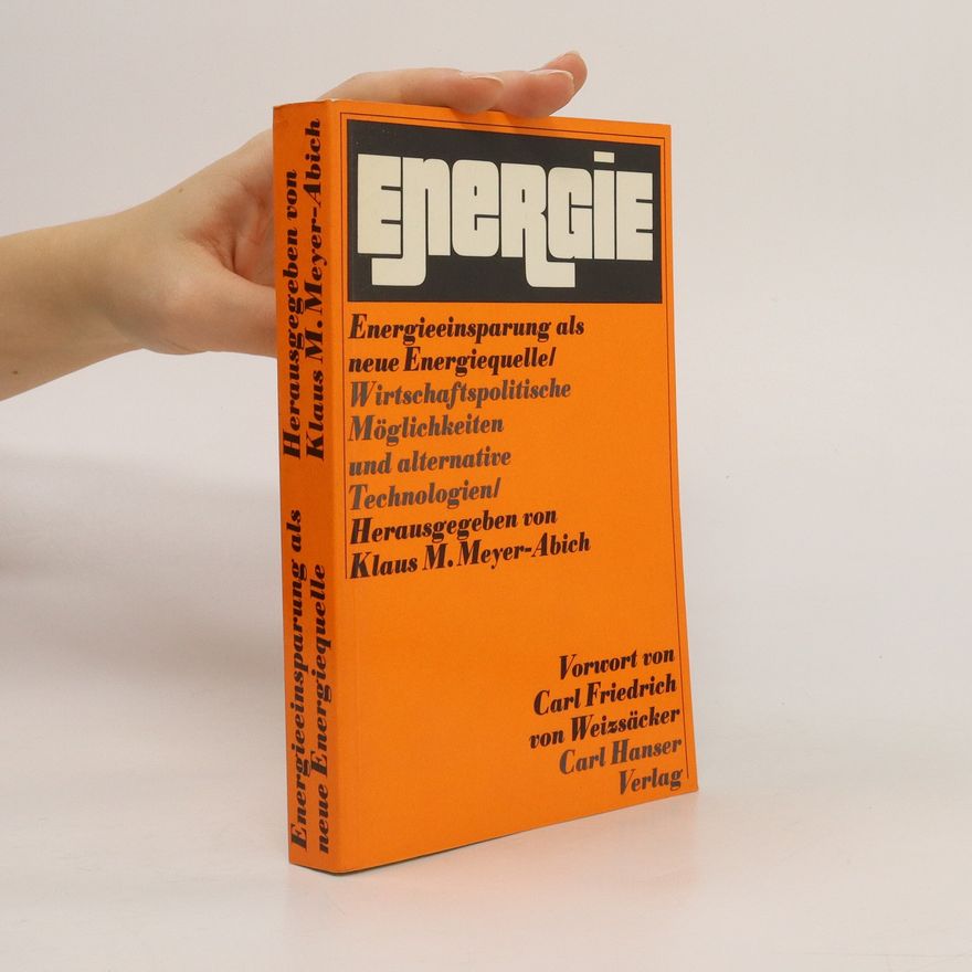 Klaus Michael Meyer-Abich Energieeinsparung als neue Energiequelle