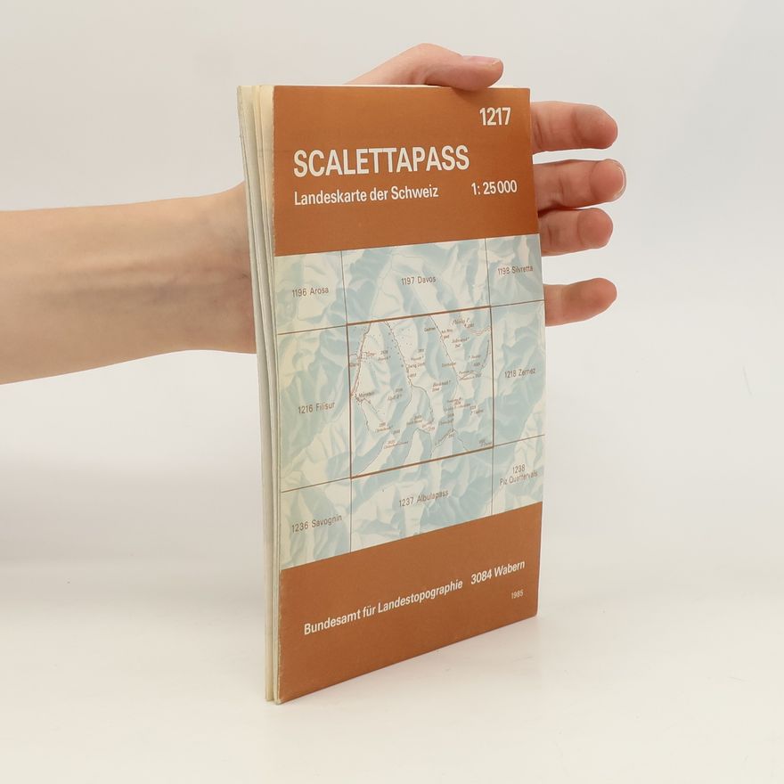 Kolektiv autorů Landeskarte der Schweiz Scalettapass