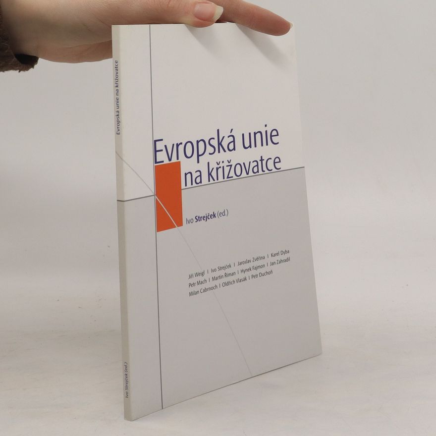 Ivo Strejček Evropská unie na křižovatce