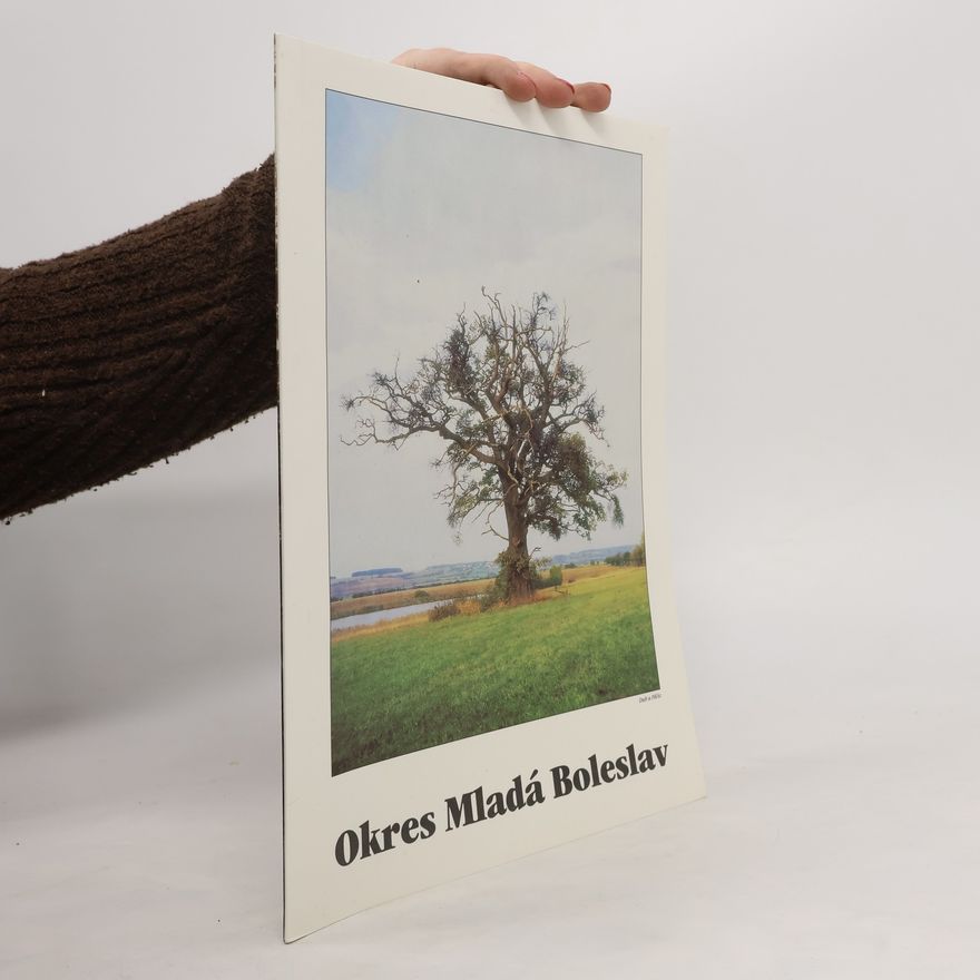 Kolektiv autorů Okres Mladá Boleslav