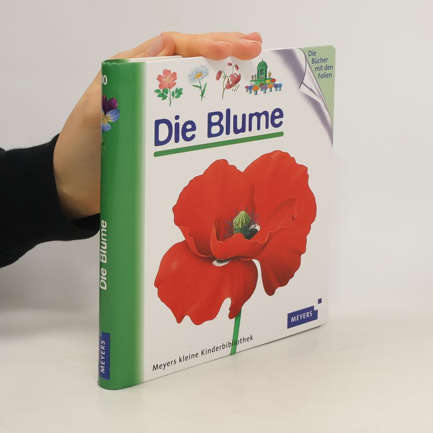 Rene Mettler Die Blume