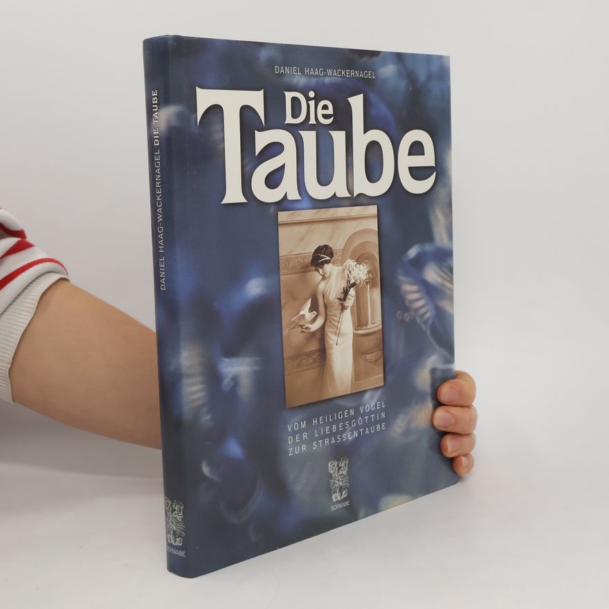 Daniel Haag Wackernagel Die Taube