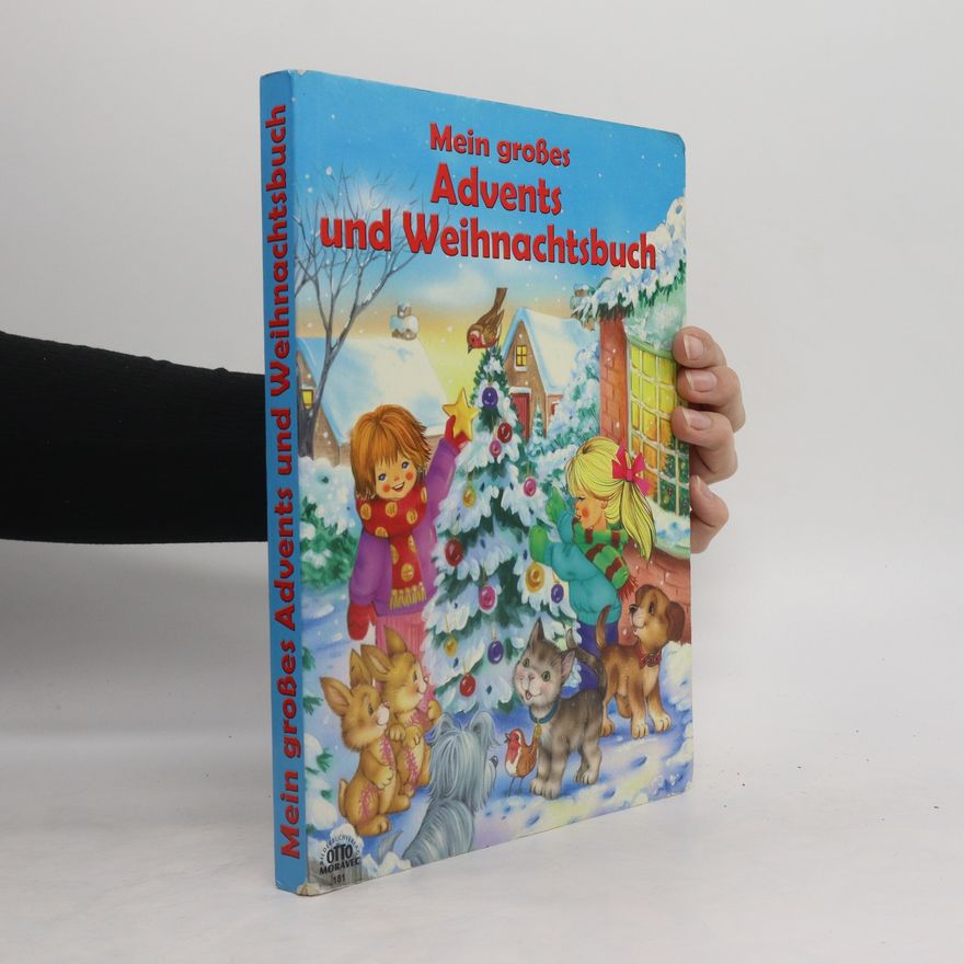 Autorenkollektiv Mein großes Advents und Weihnachtsbuch