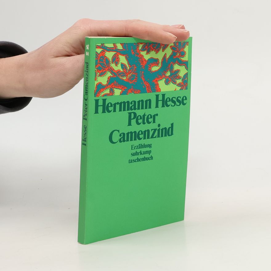Hermann Hesse Peter Camenzind