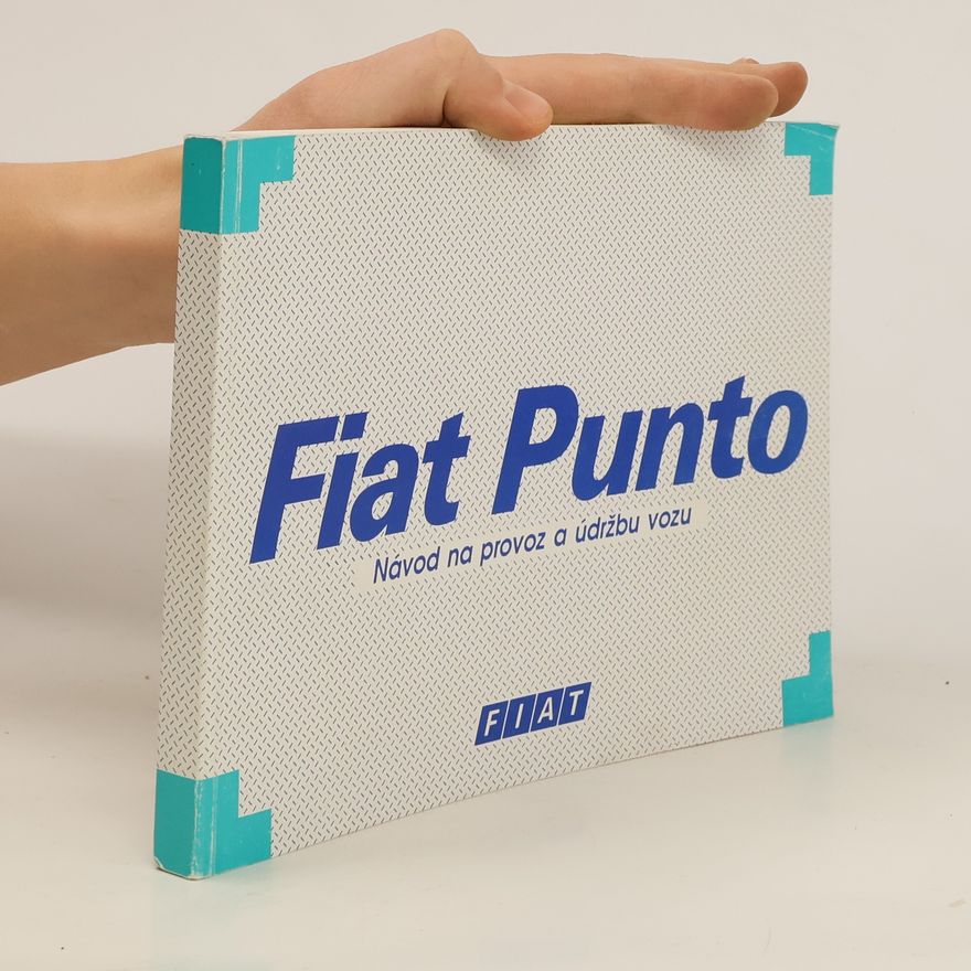Autorenkollektiv Fiat Punto