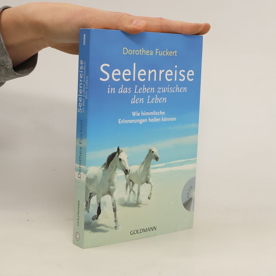 Autorenkollektiv Seelenreise in das Leben zwischen den Leben