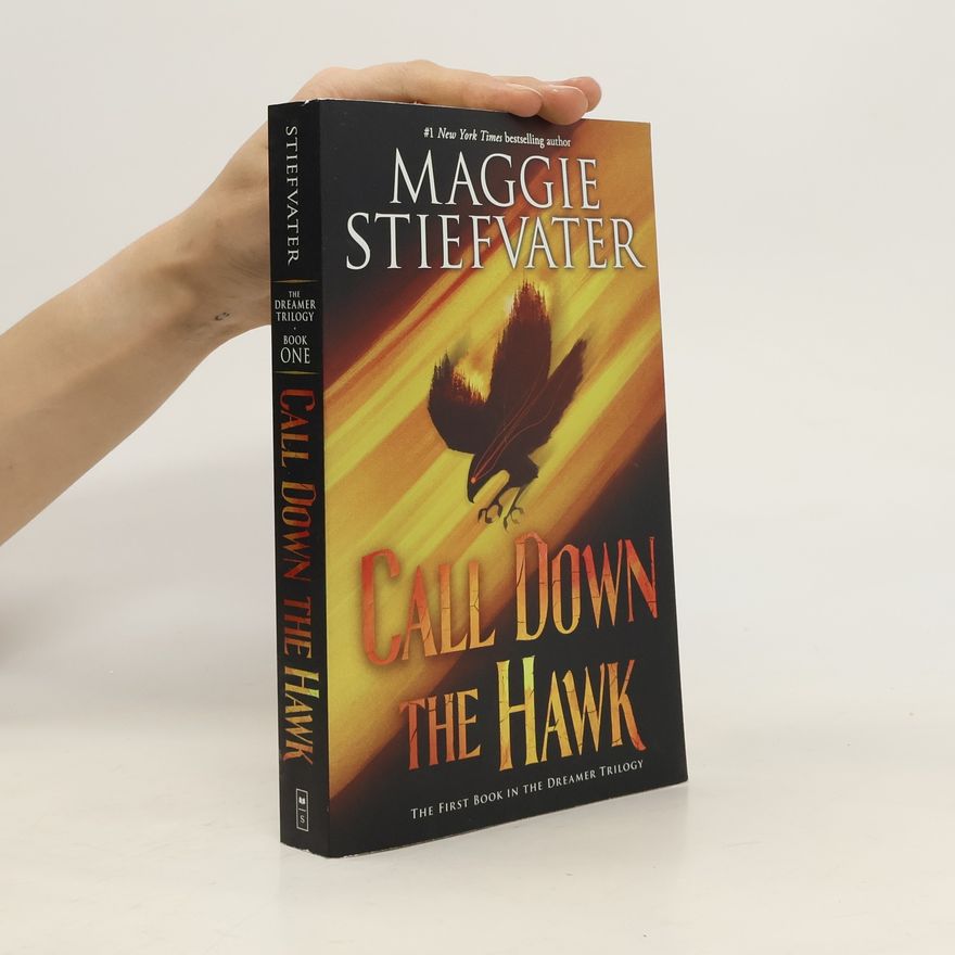 Maggie Stiefvater Call Down the Hawk (The Dreamer Trilogy, Book 1)