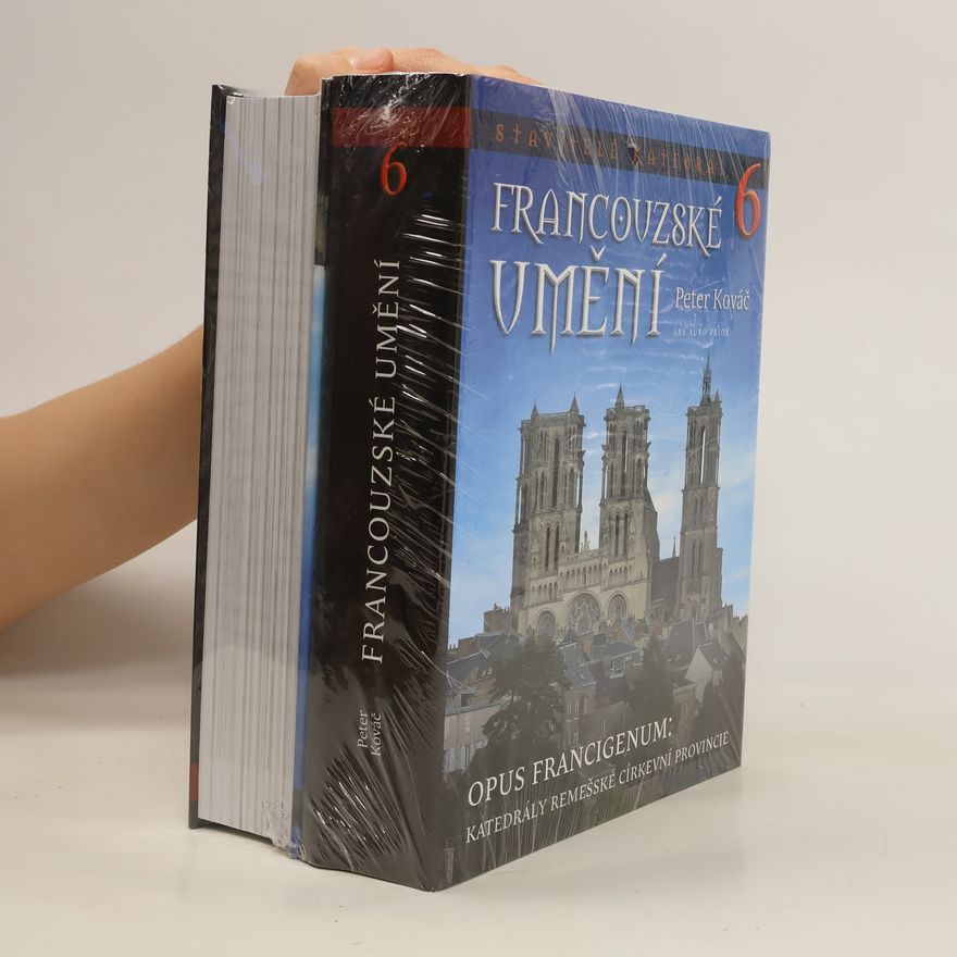 Petr Kováč Francouzské umění 6