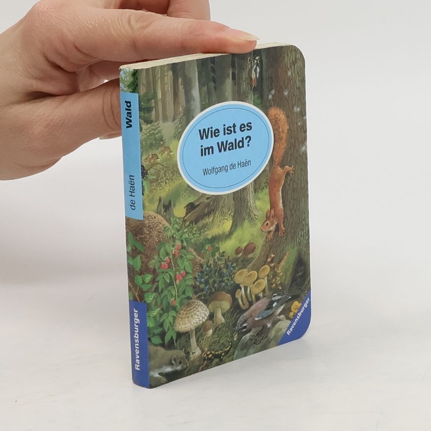 Autorenkollektiv Wie ist es im Wald?