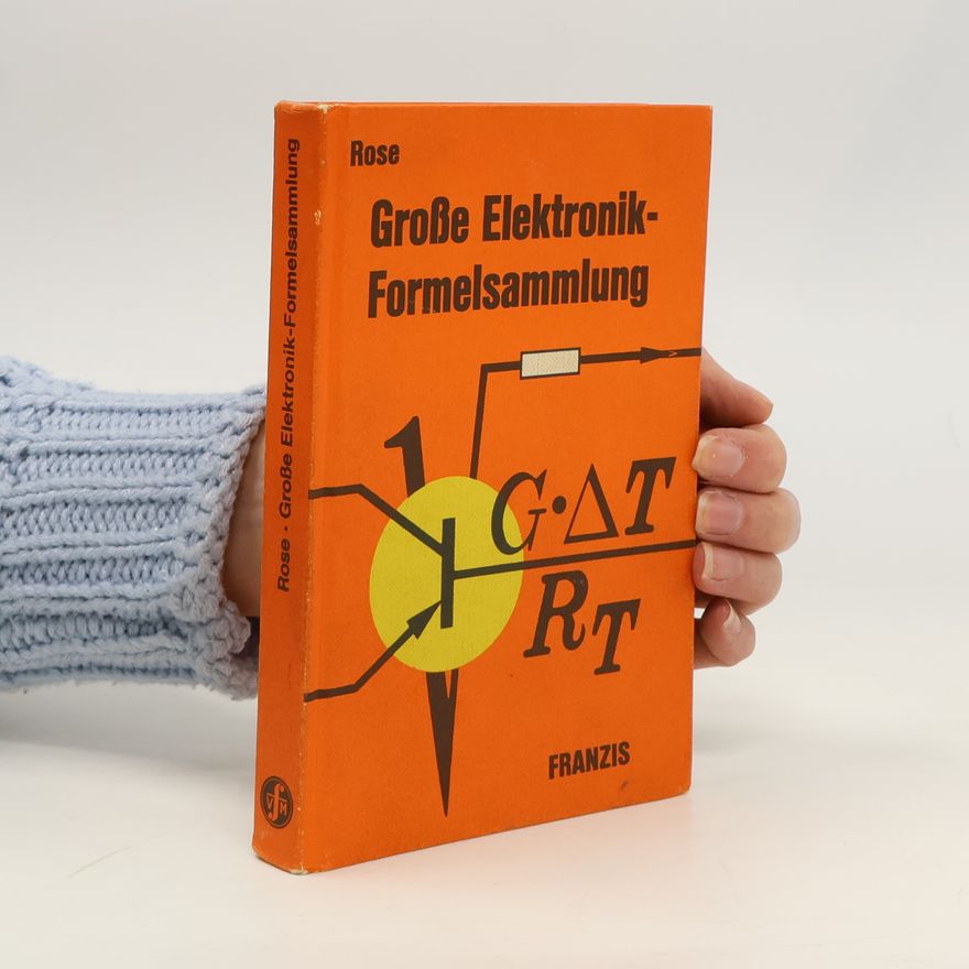 Georg Rose Grosse Elektronik-Formelsammlung für Radio-Fernsehpraktiker und Elektroniker
