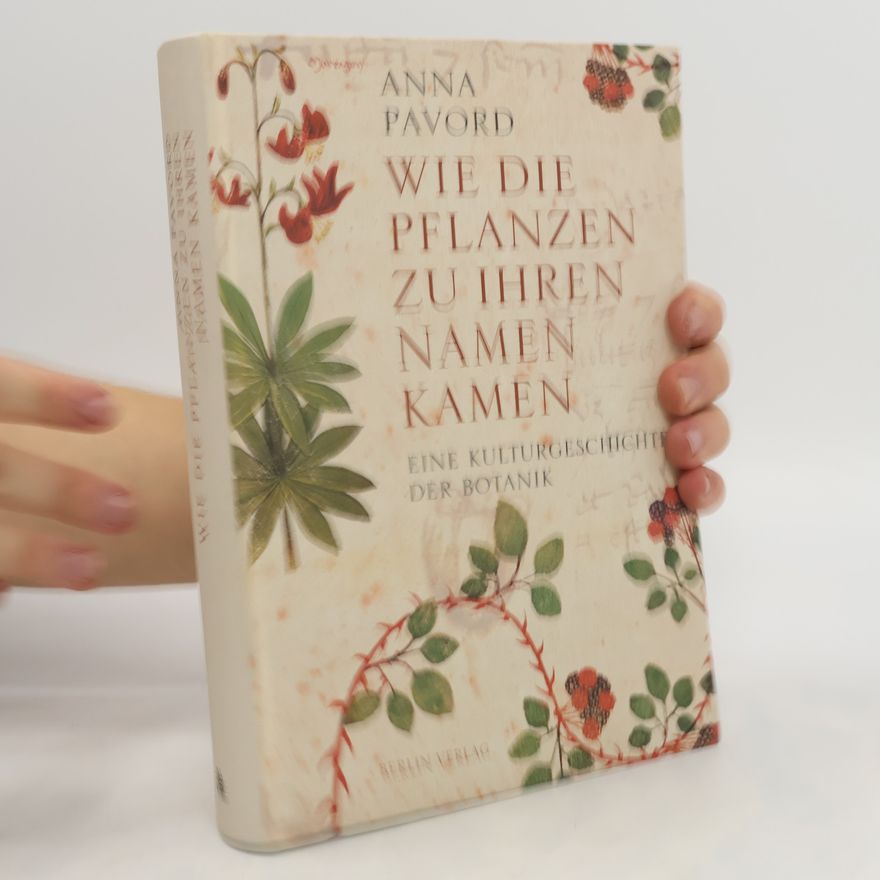 Pavord Anna Wie die Pflanzen zu ihren Namen kamen