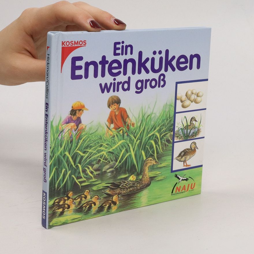 Autorenkollektiv Ein Entenküken wird gross