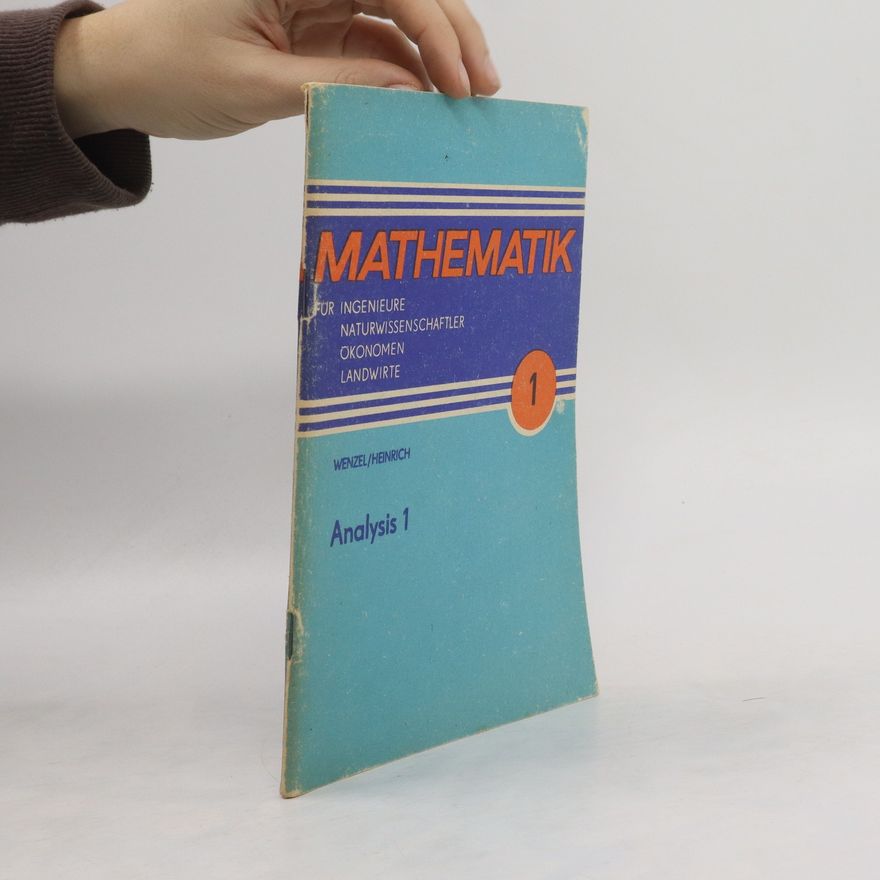 Kolektiv autorů Mathematik 1