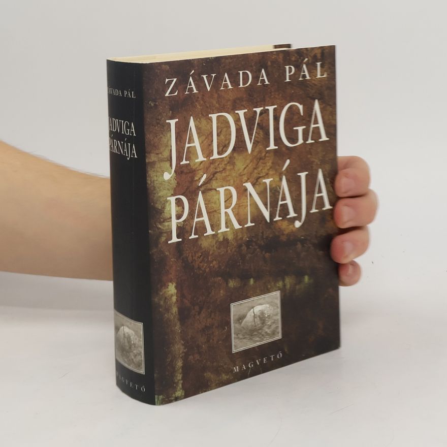 Pál Závada Jadviga párnája