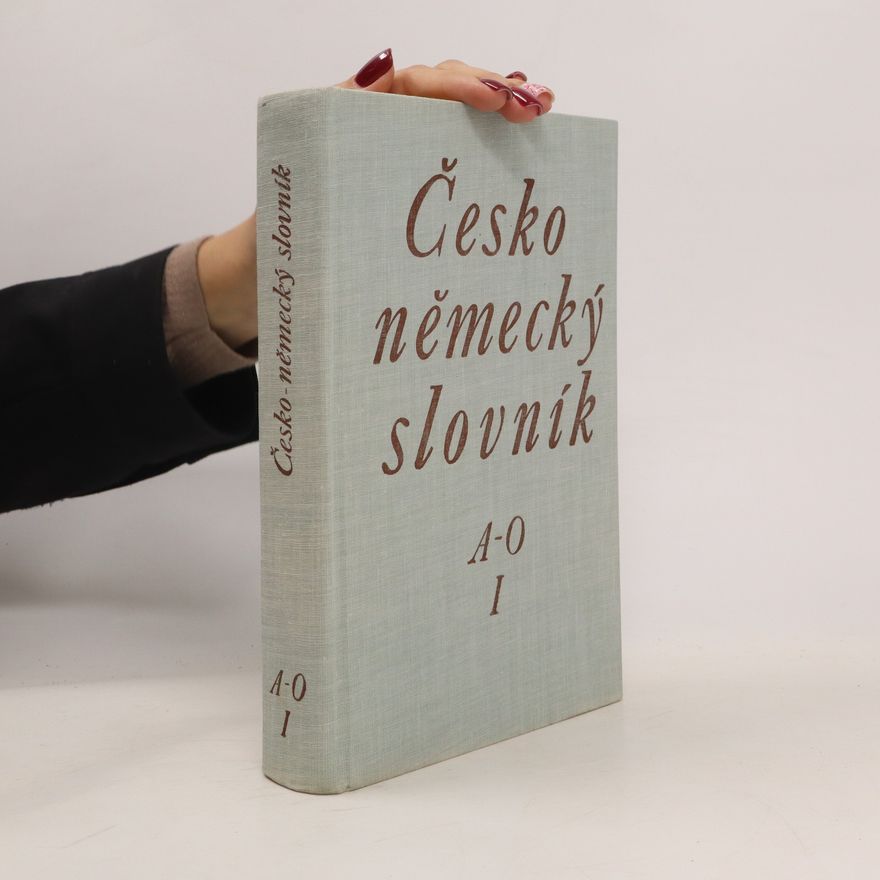Autorenkollektiv Německo-český slovník I A-O