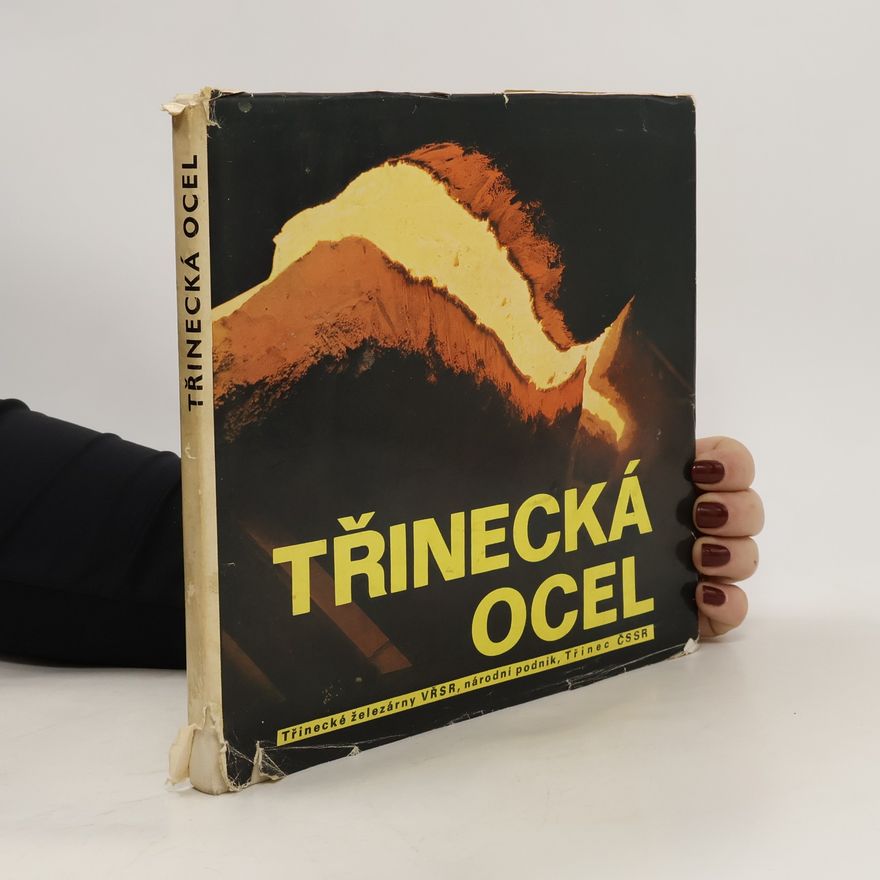 Kolektiv autorů Třinecká ocel
