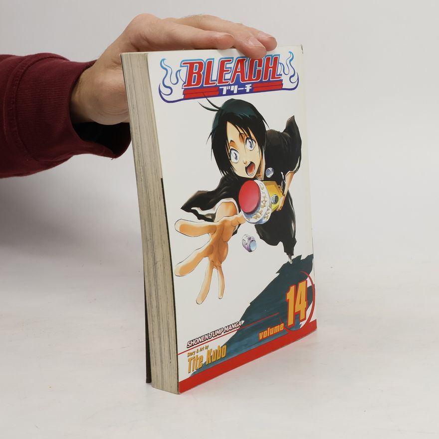 Tite Kubo Bleach, Vol. 14