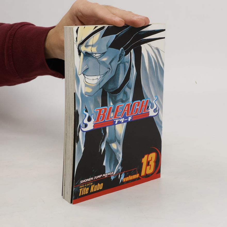 Tite Kubo Bleach, Vol. 13