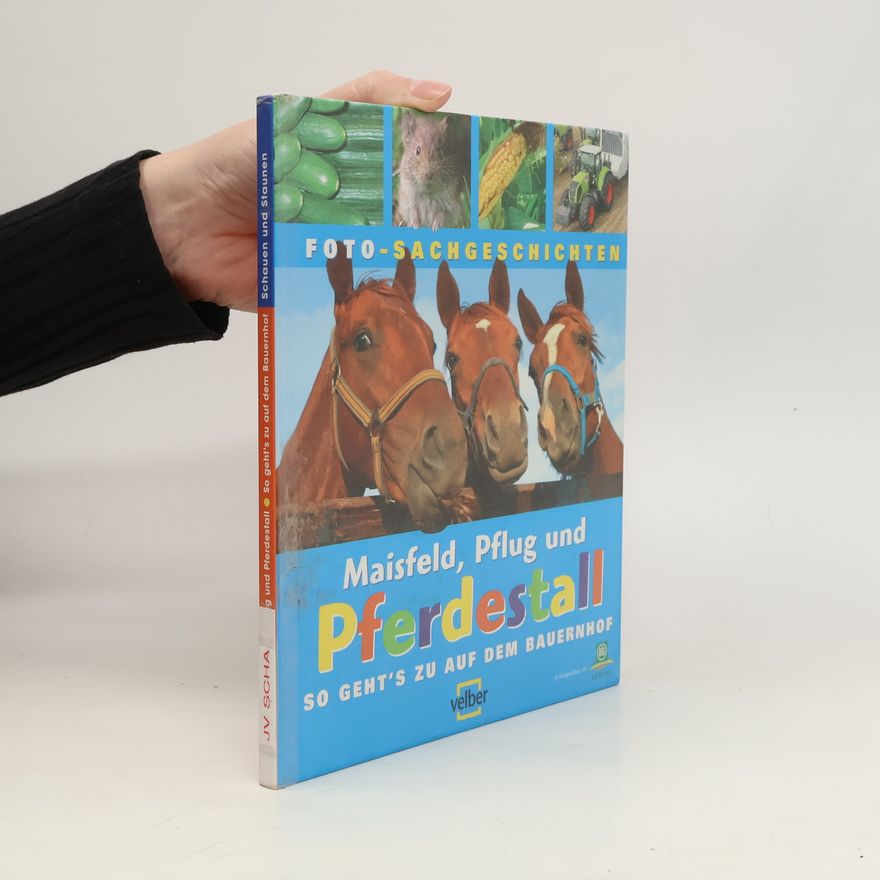 Barbara Stachuletz Maisfeld, Pflug und Pferdestall