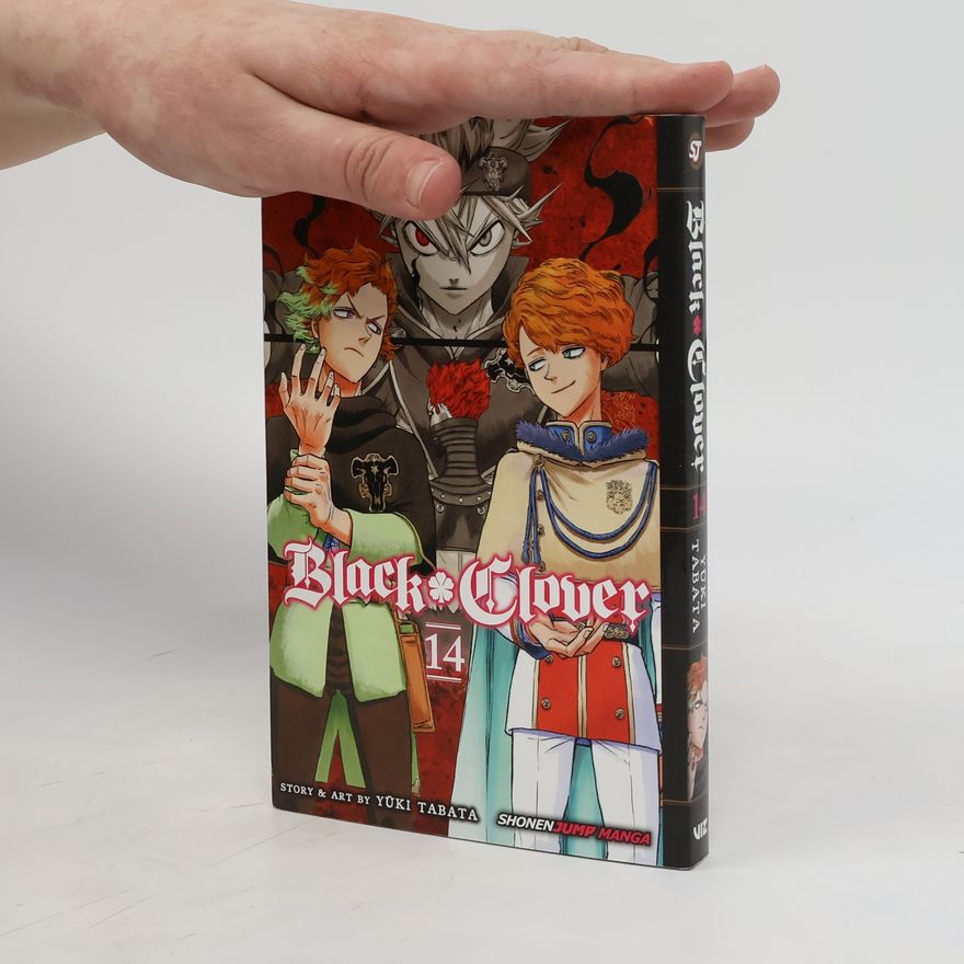 Yuki Tabata Black Clover 14