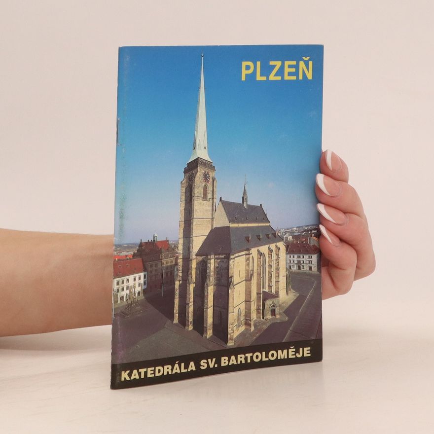 Kolektiv autorů Plzeň. Katedrála sv. Bartoloměje