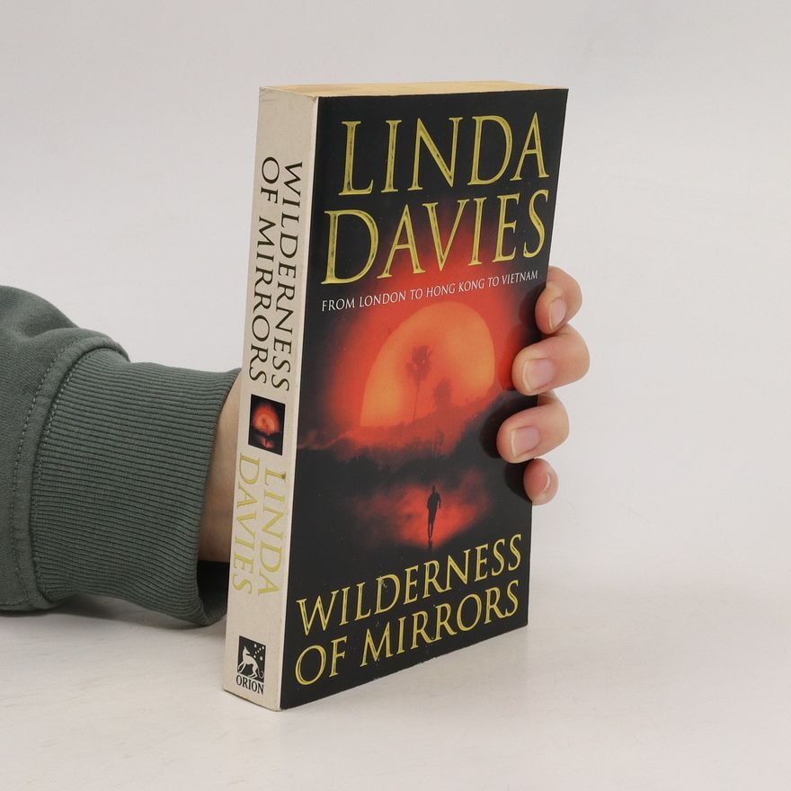 Linda Davies Wilderness of mirrors
