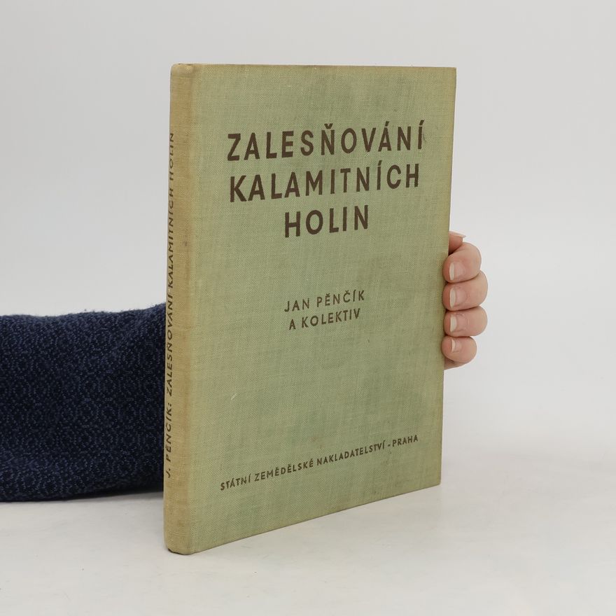 Kolektiv autorů Zalesňování kalamitních holin
