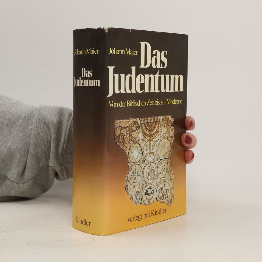 Johann Maier Das Judentum von der biblischen Zeit bis zur Moderne